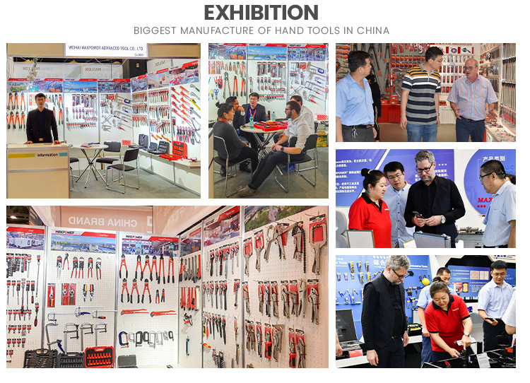 Exhibition Showcase