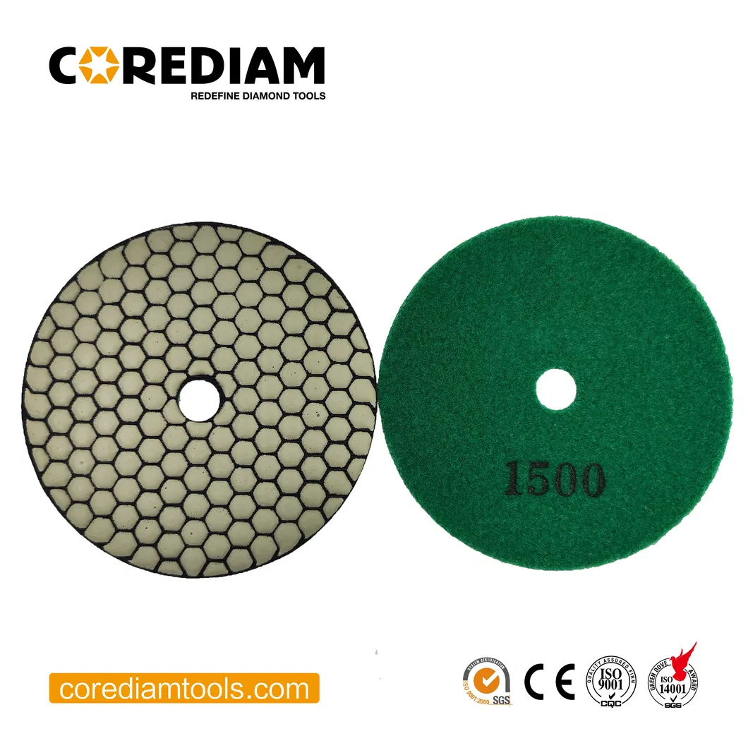 Diamond Dry Polishing Tool