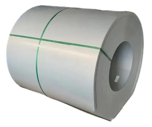 Electro Galvanized Steel Coil 1