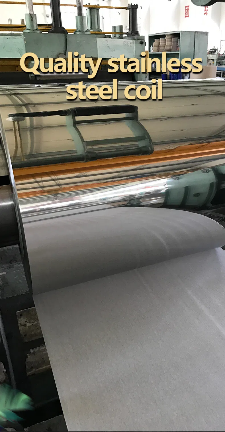 Stainless Steel Strip Coil