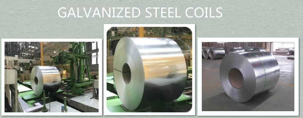 Steel Coil Specifications