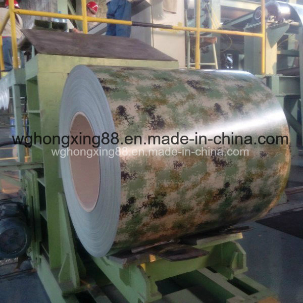 Cold /Hot Rolled /Color Coated/Carbon Galvanized Steel Coil PPGI for Boiler/Boat/Container Board