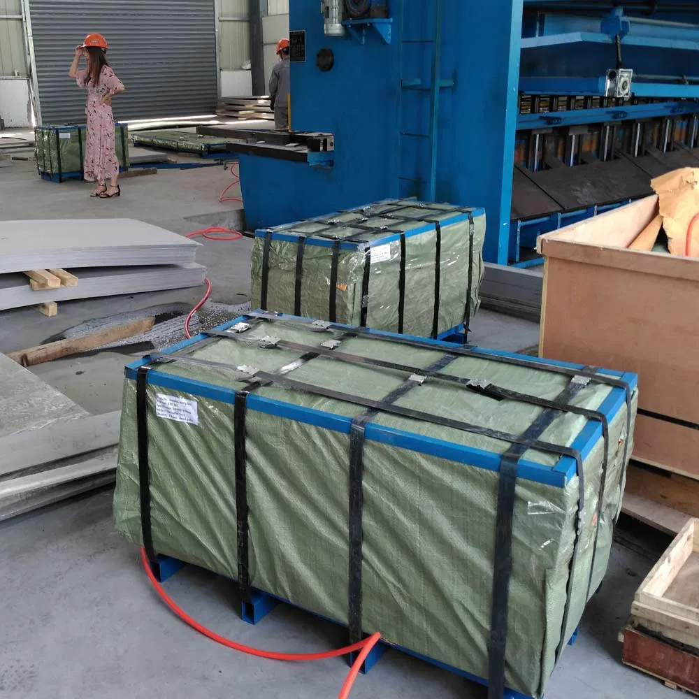 Cold and Hot Rolled Stainless Steel Plate 304 316 Sheet