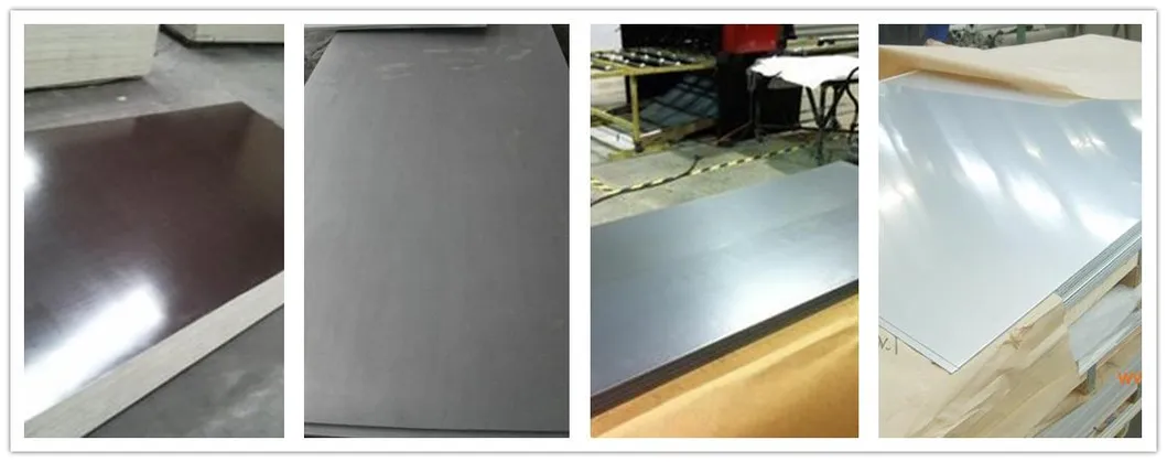 Stainless Steel Plate 2