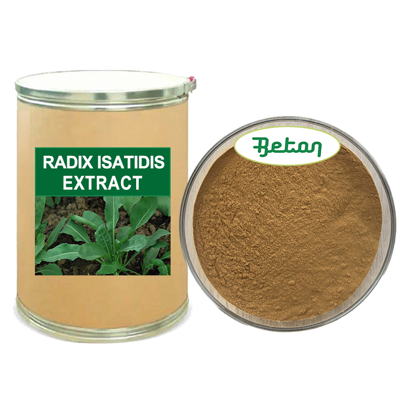 Chinese Traditional Isatis Indigotica Fort Leaf Extract BanLanGen Powder Indigowoad Root Extract