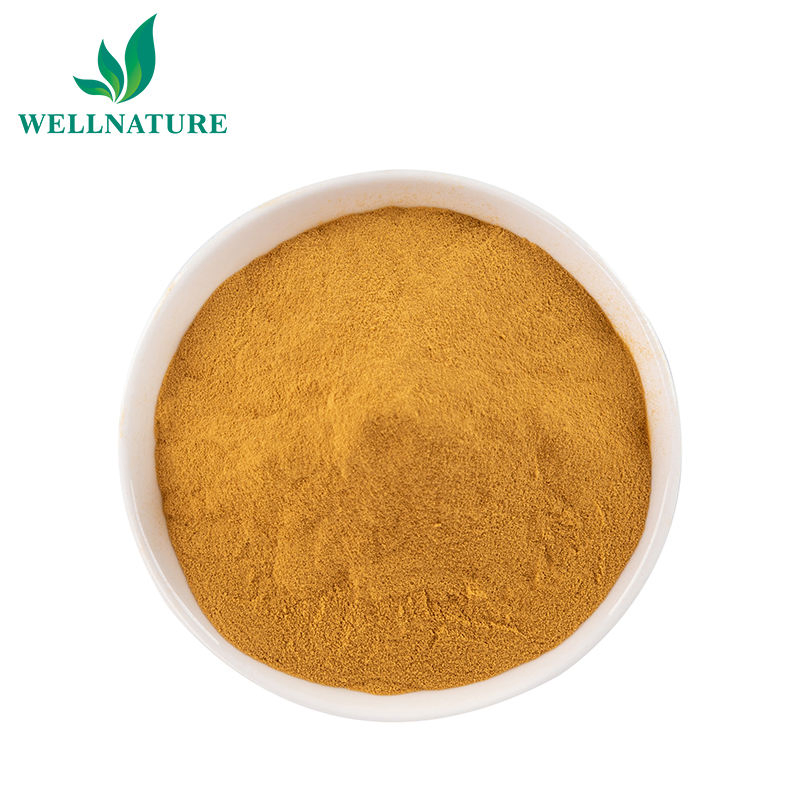 Best Price Green Tea Extract EGCG Green Tea Extract Powder Water Soluble Food Grade Herbal Extract