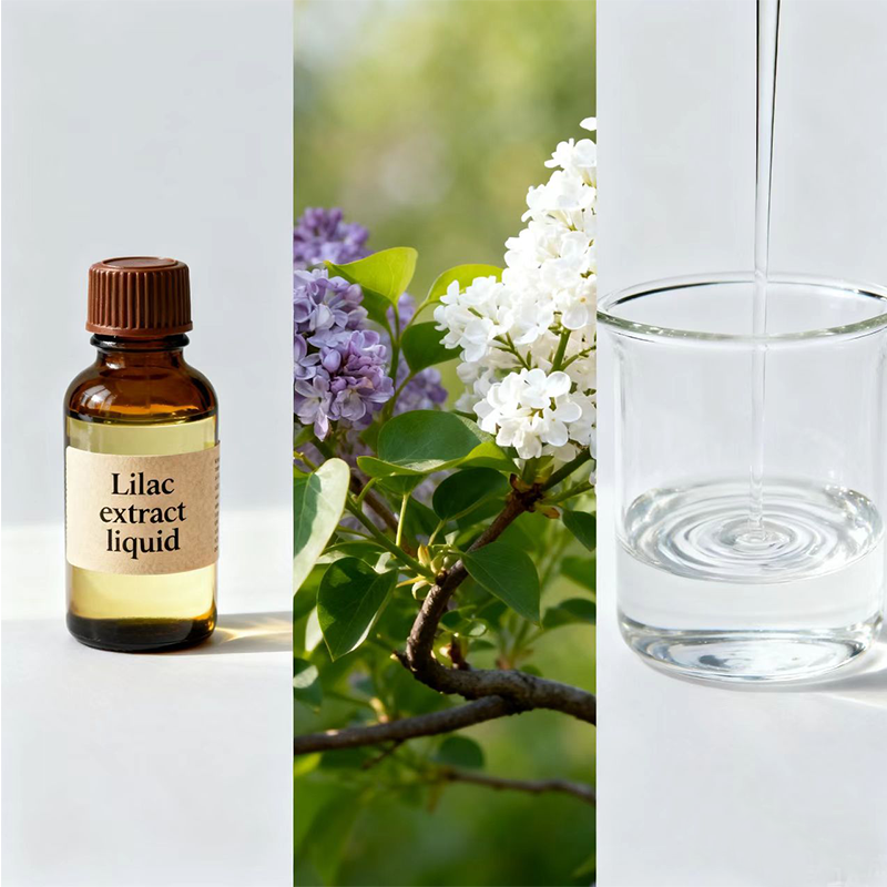 Factory Herb Extract Lilac Extract Liquid Natural Flavor Lilac Concentrate Herb Extract