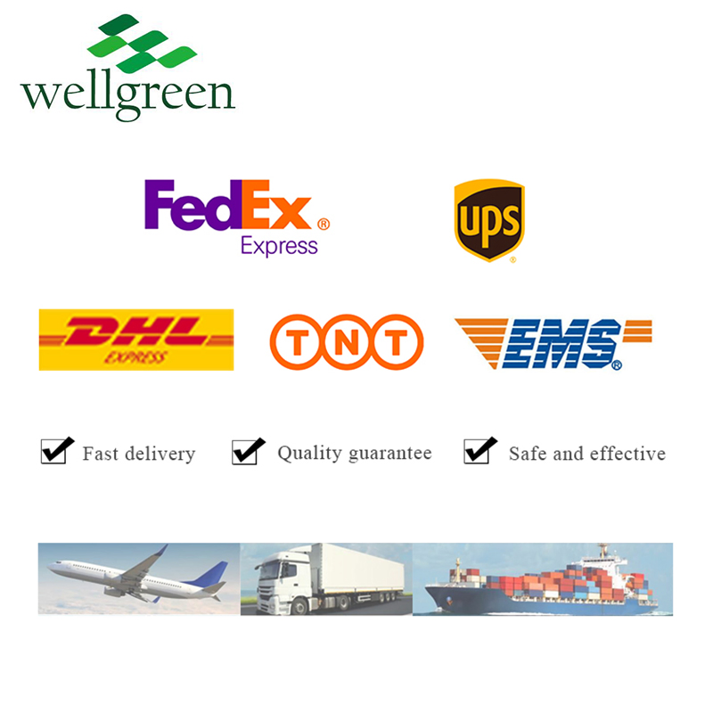 Wellgreen High Quality Panax Ginseng Root Powder 5%-80%Ginsenosides Ginseng Extract Powder