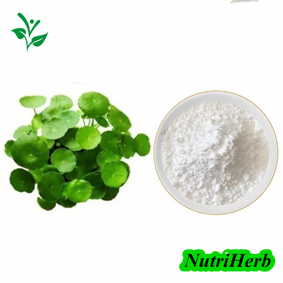 CAS 84696-21-9 80% Asiaticoside 90% Total Triterpenes Gotu Kola Extract