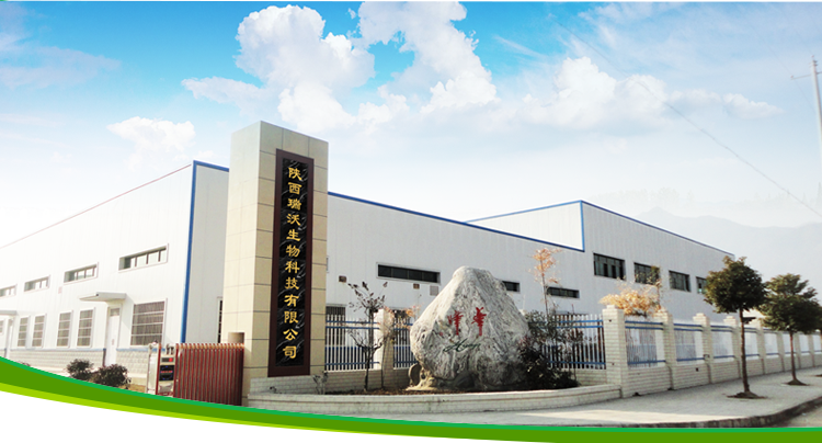 Company Facility