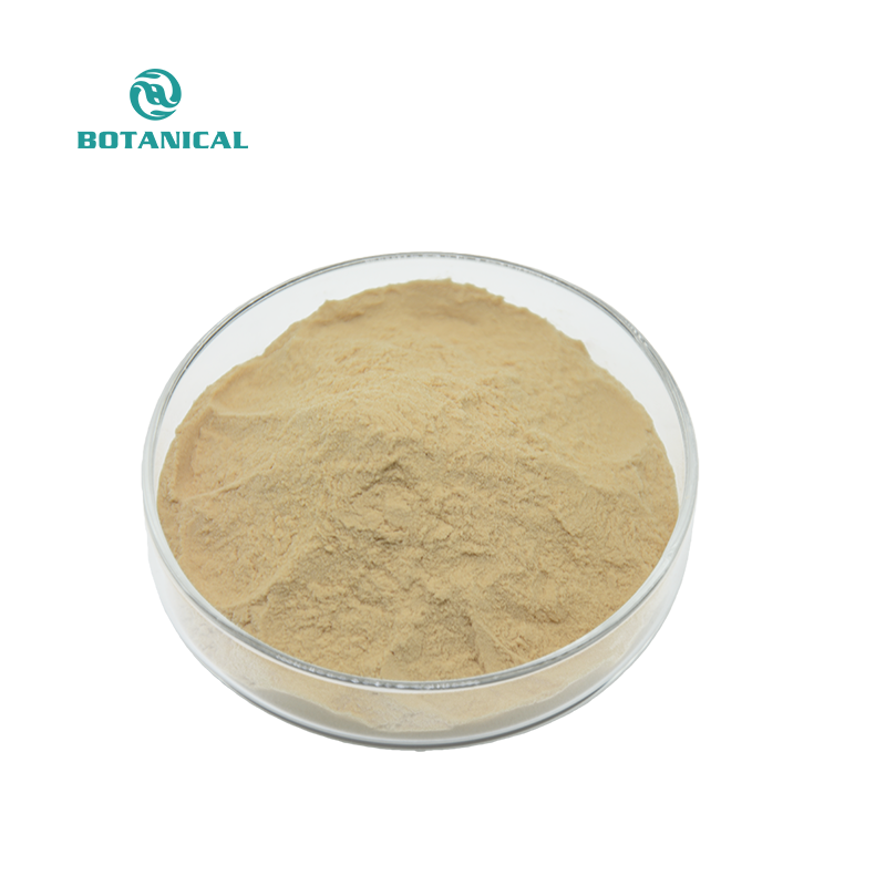 Ginger Powder Juice Type