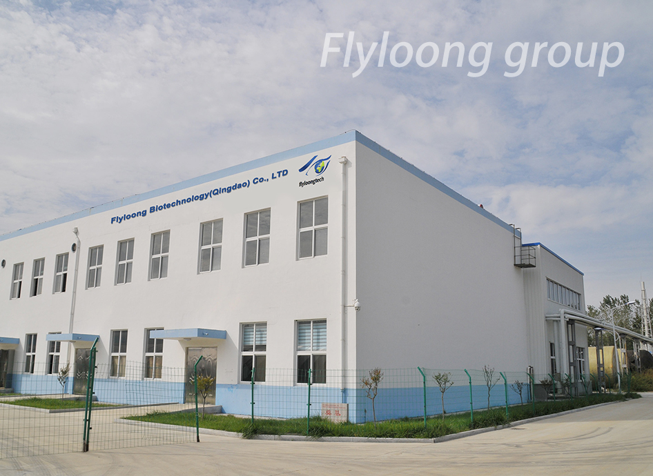 Company Overview Image