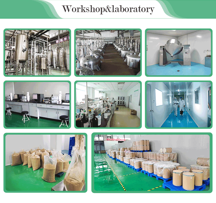 Factory Supply 100% Water Soluble Food Grade Pure Natural Herba Hedyotis Extract Powder