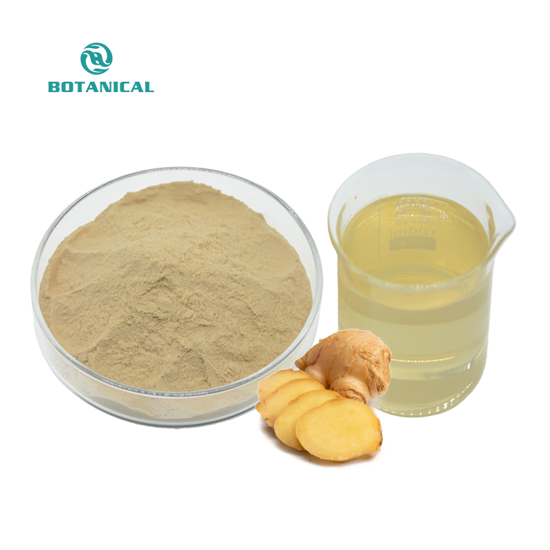 BCI Supply Hot SaleGinger Root Extract Ginger Drink Powder Water Soluble