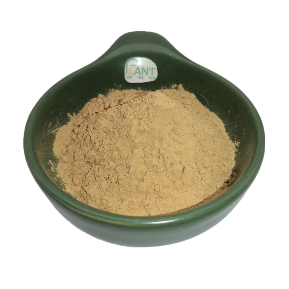 Siberian Ginseng Extract Material