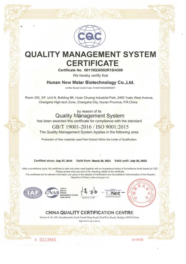 Certificate 2