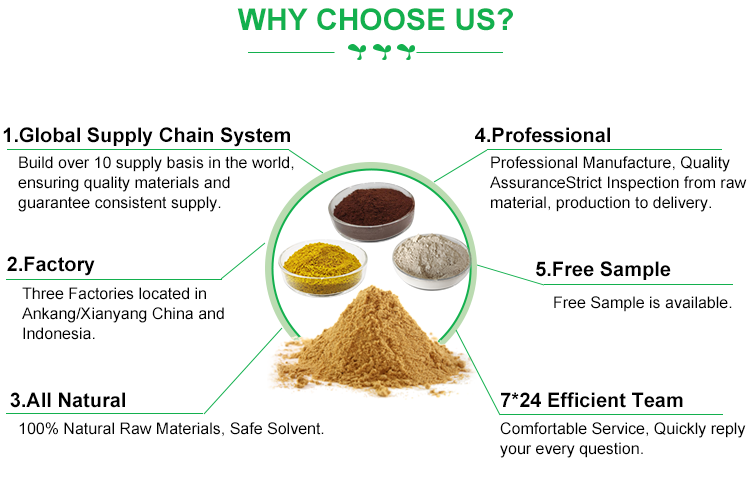 Our Advantages