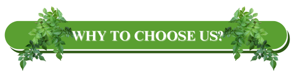 Serving Various Sectors