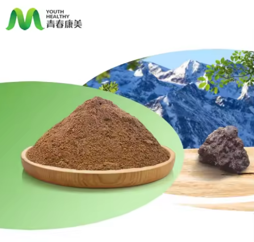 Youth Factory Top Selling Item Shilajit Extract Hplc Standardized