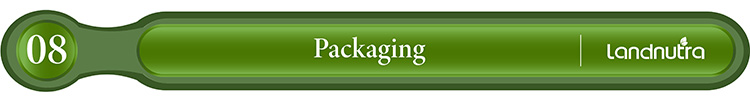 Wholesale Bulk Pure Organic Reishi Mushroom Extract Ganoderma Lucidum Powder Reishi Mushroom Extract Powder