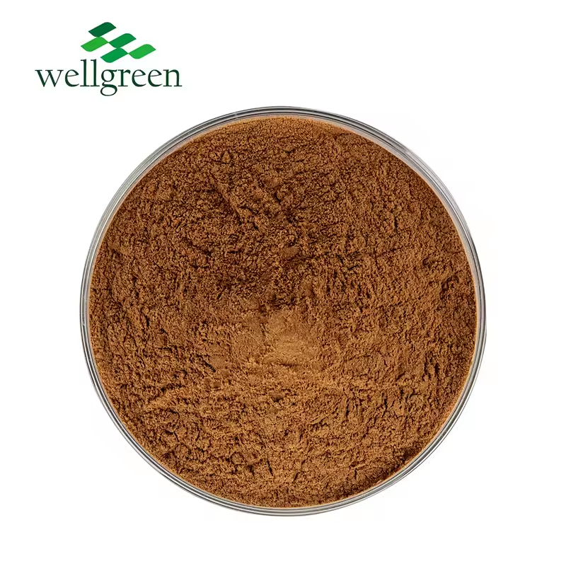 Natural Herbal Purple Perilla Frutescens Extract Water Soluble Perilla Seed Extract Powder
