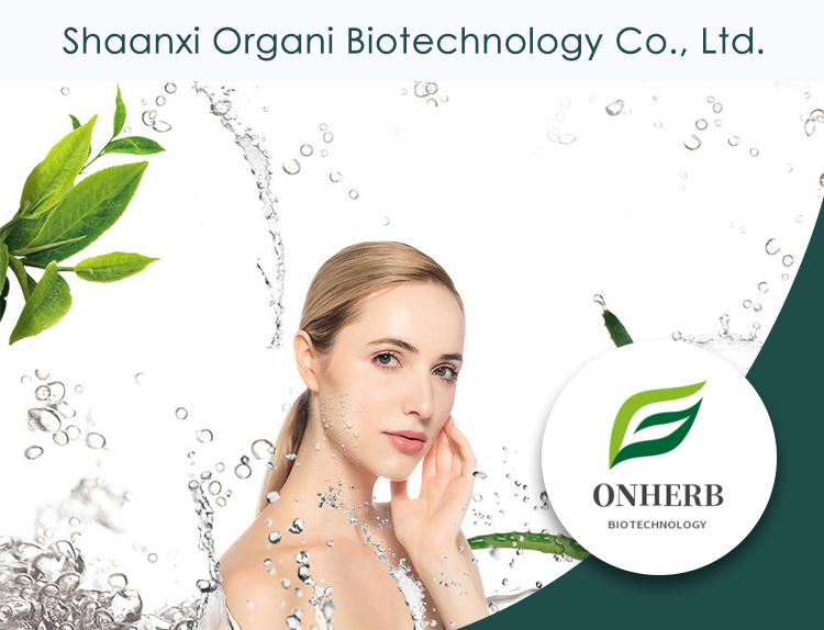 Siberian Ginseng Extract Banner