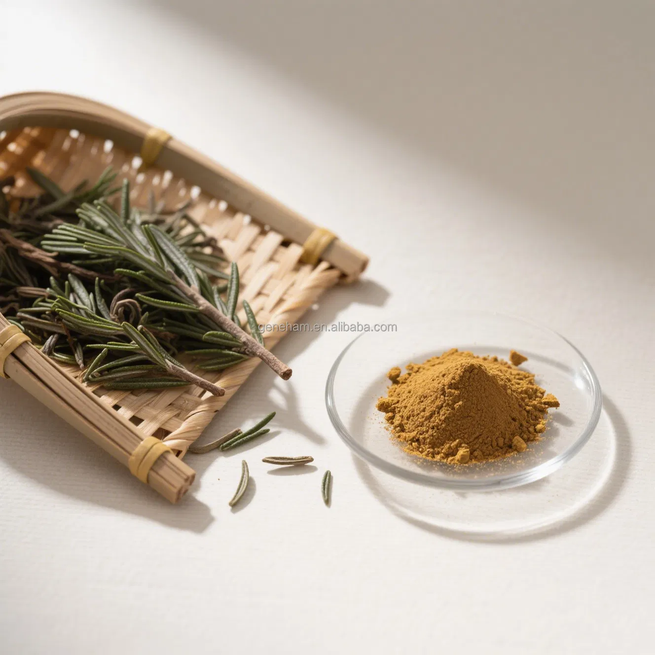 Antioxidant Rosemary Extract Carnosic Acid Powder 60% for Skincare &amp; Hair Care