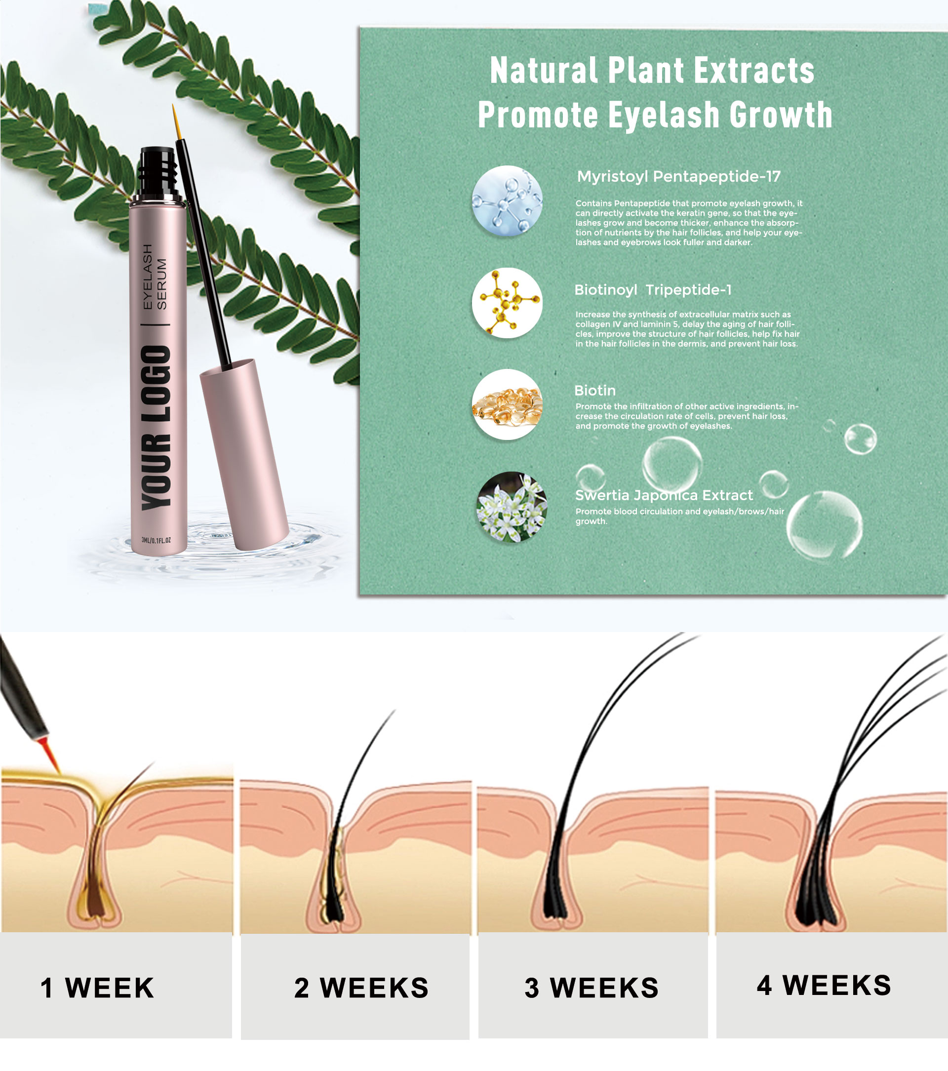 Eyelash Growth Serum Ingredients