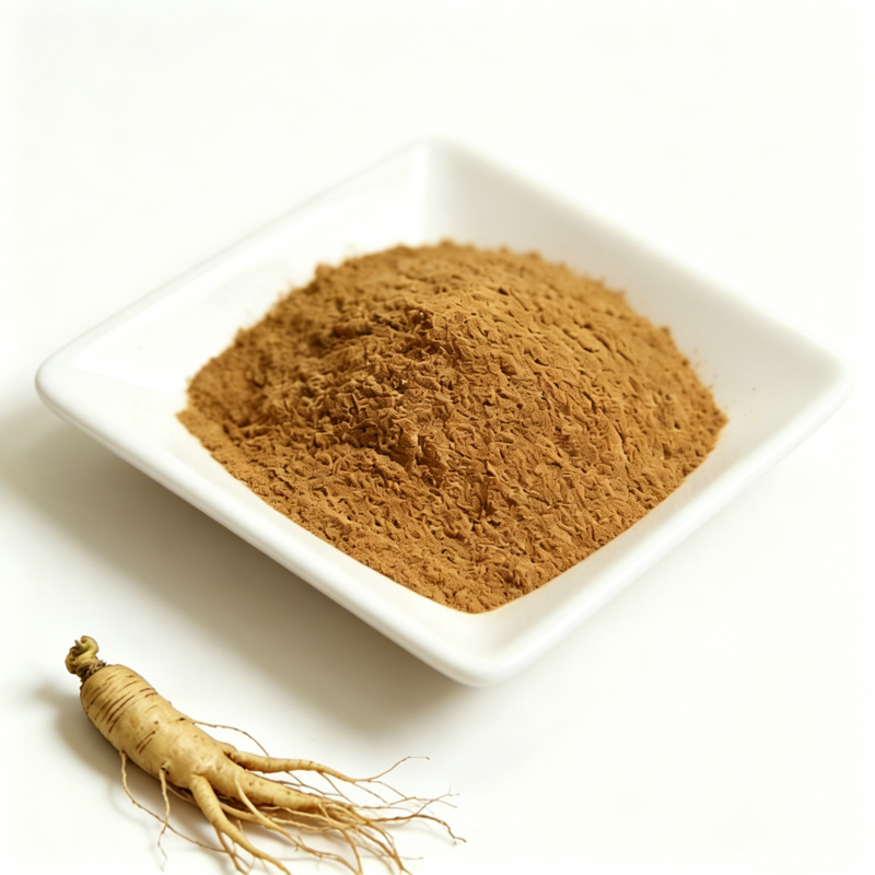 Premium Natural Ginseng Adventitious Root Powder High Ginsenosides Pure Panax Extract for Beverage Snack Ingredient Raw Material