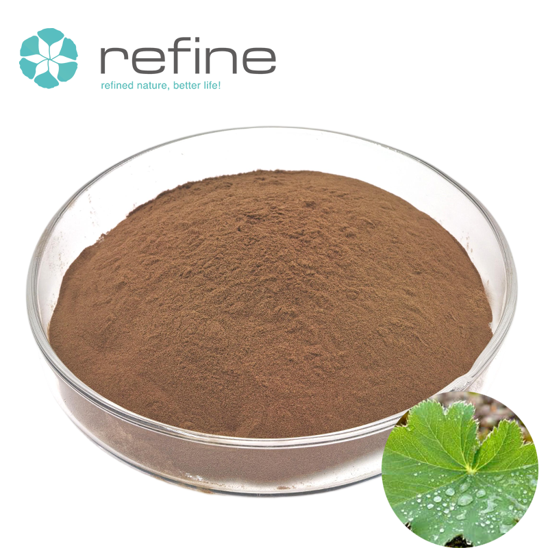 Lady's Mantle Root Extract (Alchemilla Vulgaris) Powder Wild Harvested Liquid-Solid Extraction 99% Pure Health Food Grade Vacuum