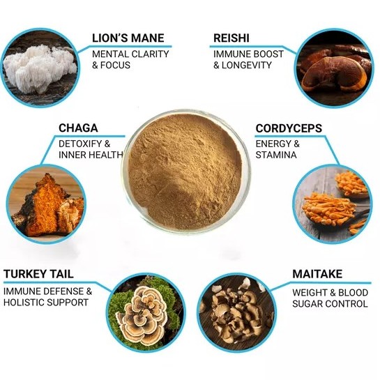 High Quality Herbal Mushroom Extract Powder OEM Wholesale Price Lions Mane Reishi Chaga Wuling Whole Fruit Body