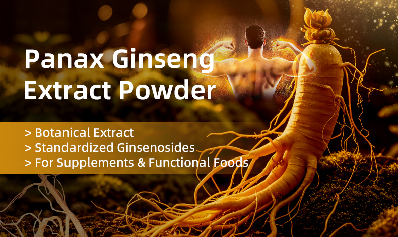 Panax Ginseng Root Extract