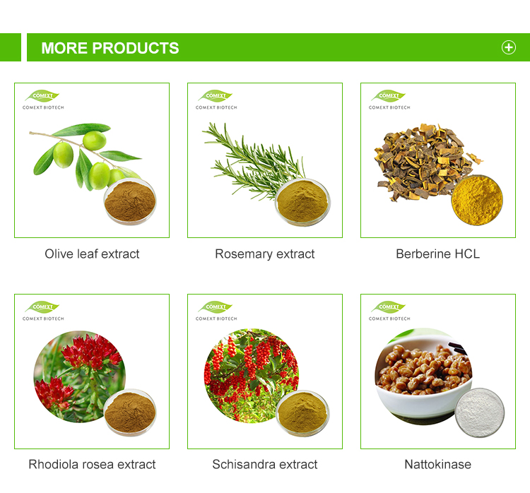 Comext Water Soluble Dry Natural Herbal Powder Leaf 10: 1 Peppermint Extract