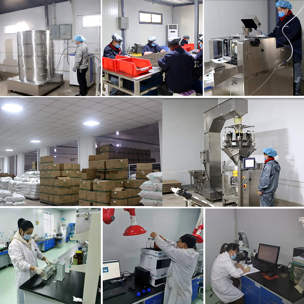 GSGC Factory Delivery Best Price Bulk Rhodiola Quadrifida Rhodiola Rosea Root Extract Powder