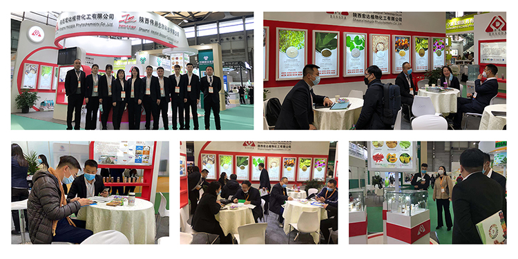 Exhibition Booth 2