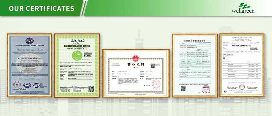 Panax Ginseng Root Extract Characteristics