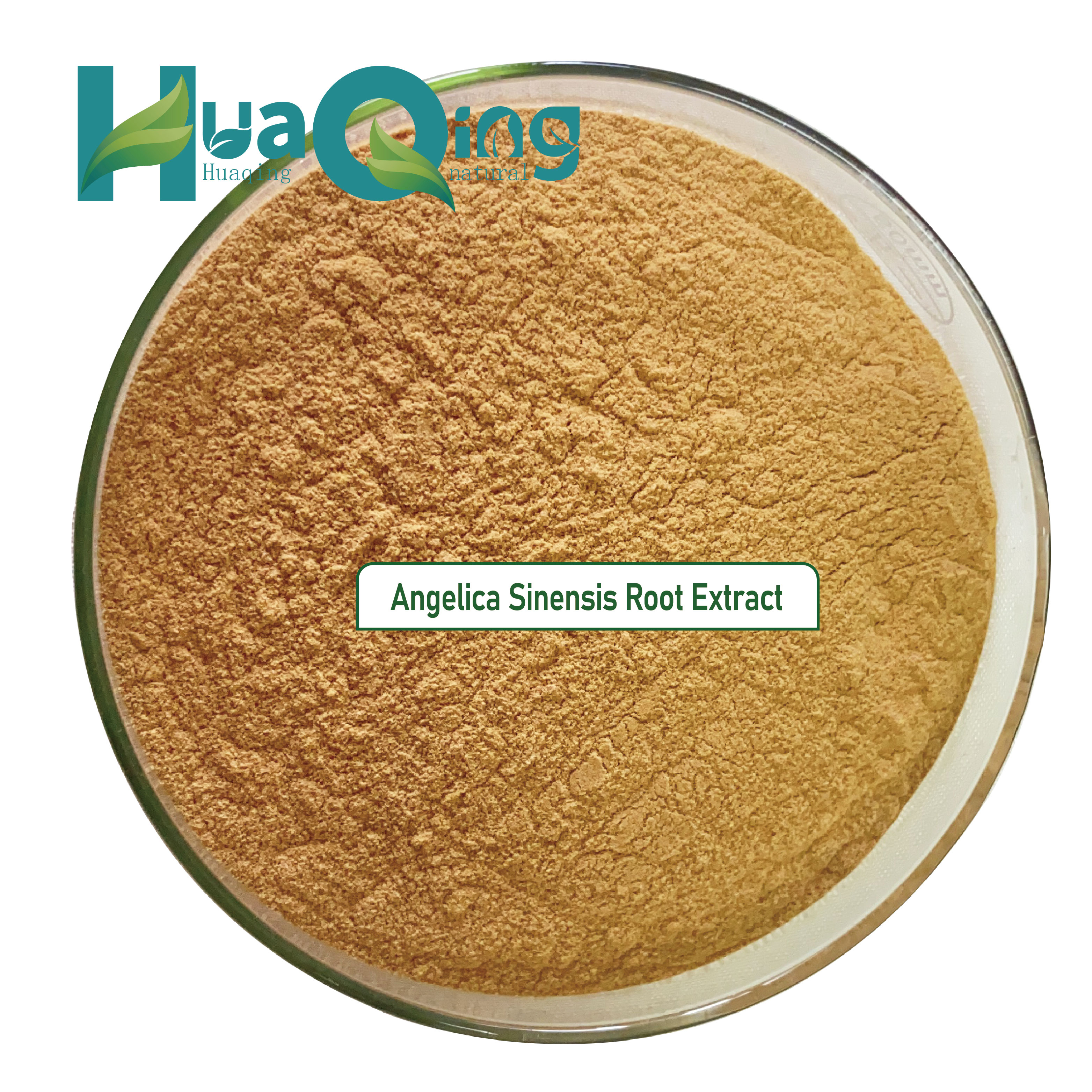 100% Natural Food Grade Dong Quai Herbal Extract Powder 10:1 Radix Angelica Sinensis Root Chinese Traditional Herbal Supplement