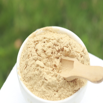 Amla Powder Health Support