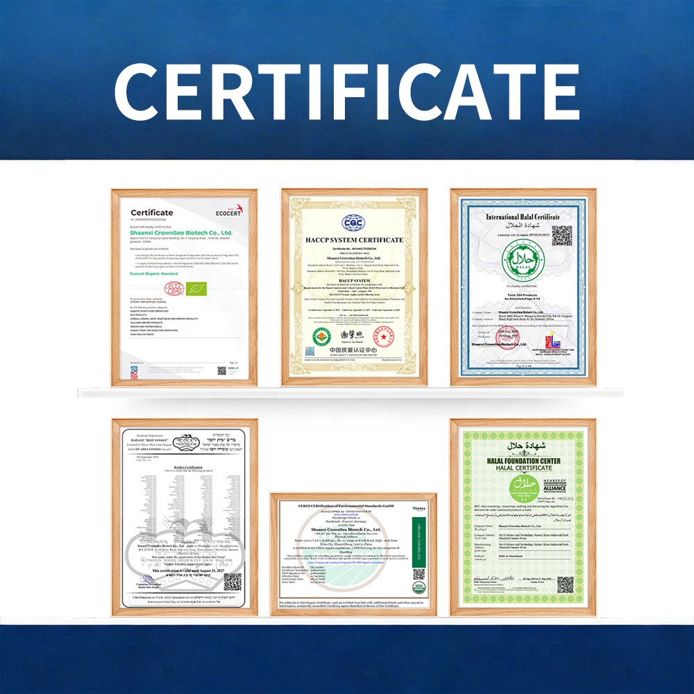 High Purity Natural Wheatgrass Powder Herbal Extract Water Extract for Beverages and Food Applications in Bottle/Drum Packaging