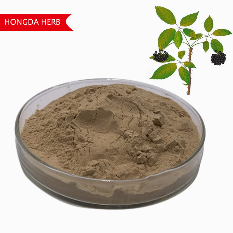 Wholesale 0.8% Eleutherosides Chinese Traditional Herb Siberian Ginseng Extract