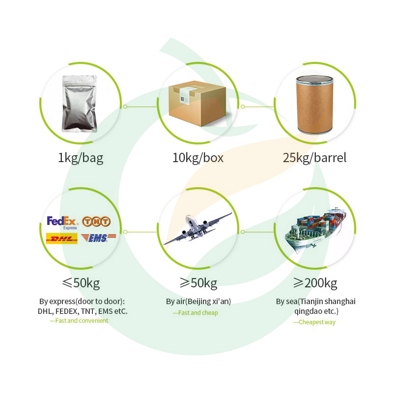 High Quality Plant Extract Pine Needle Leaf Extract 10:1/20:1 Free Sample