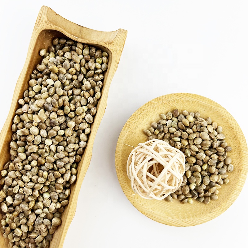 Manufacture Offer Organic Hemp Seed for Sale Extract Powder