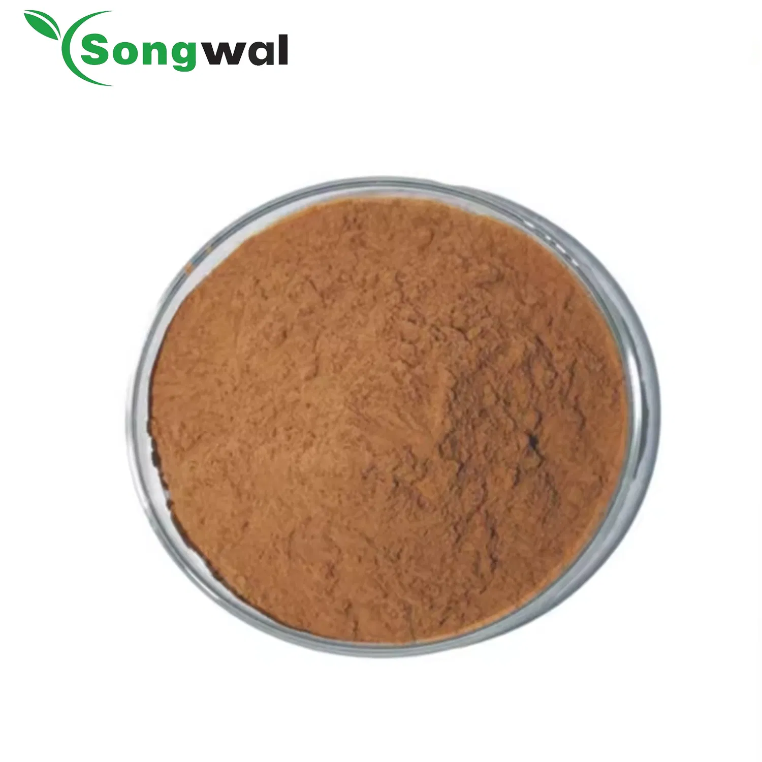 Factory Price Water Soluble Cough Syrup 100% IVY Leaf Herbal Plant Extract