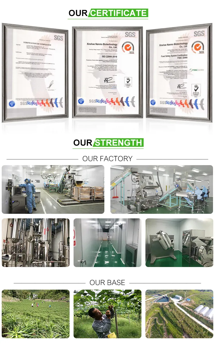 High Quality Chinese Herbal Extract Dried Ginger Extract