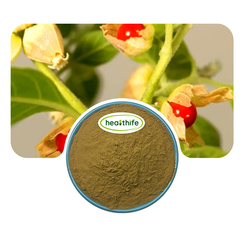 Healthife Sleep Aid Factory Supply Ayurvedic Ashwagandha Extract Powder 1.5% - 10% Withanolides