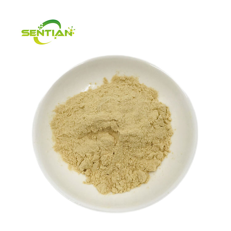 Plant Extract Chinese Traditional Herb Siberian Ginseng Extract Panax Ginseng Extract