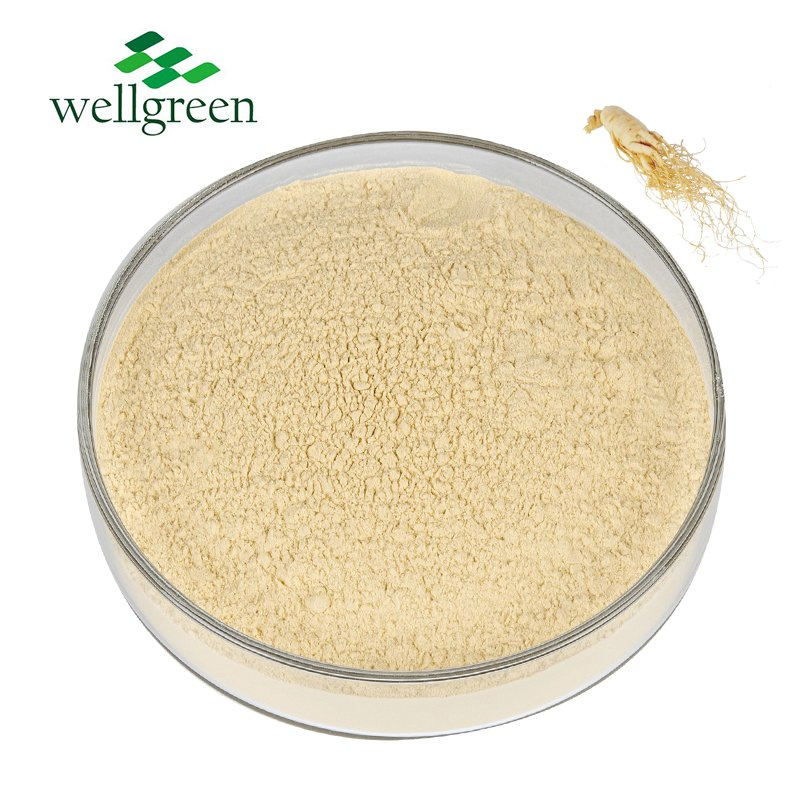 Wellgreen High Quality Panax Ginseng Root Powder 5%-80%Ginsenosides Ginseng Extract Powder