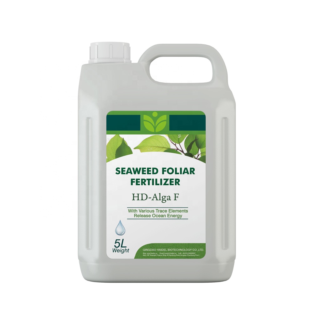 Liquid TE Ascophyllum Nodosum Water Soluble Seaweed Extract Organic Foliar Fertilizer
