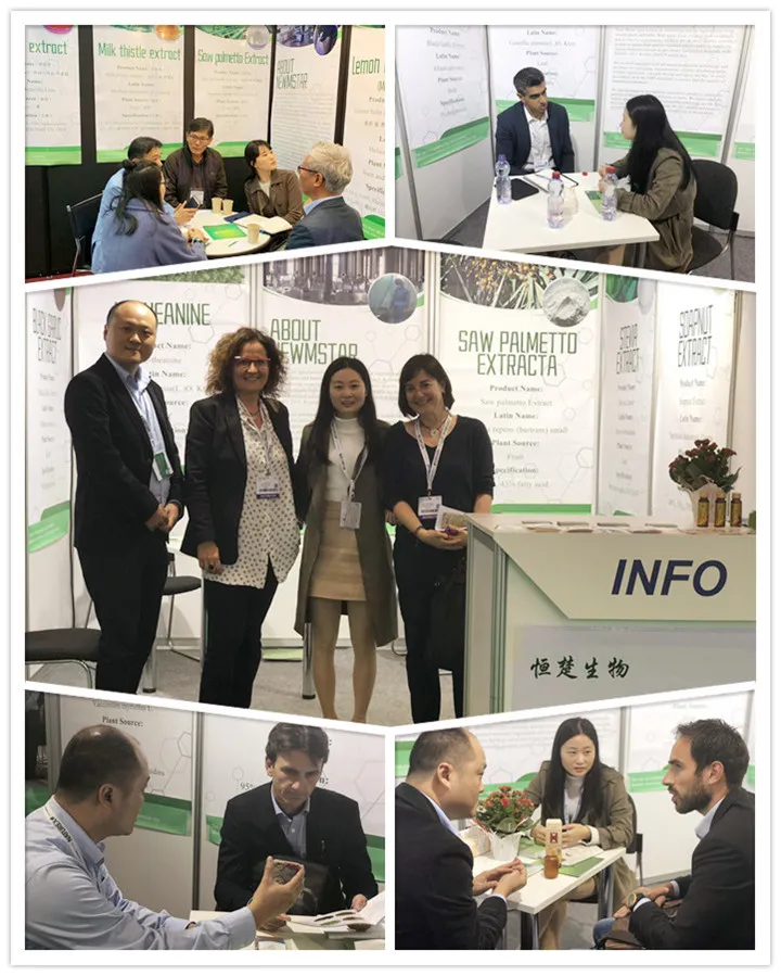 Industry Exhibition
