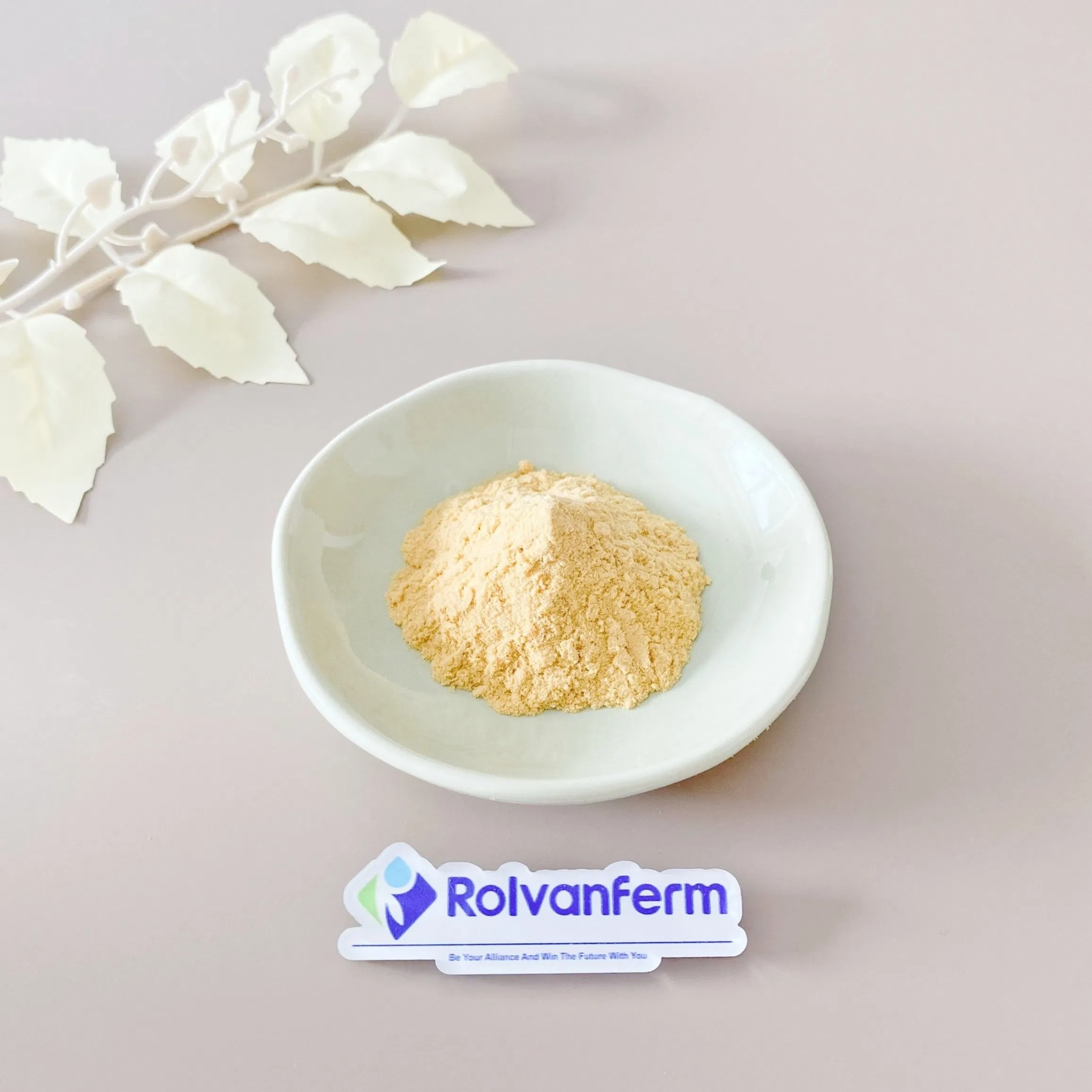 Pet-Grade Rosemary Extract for Natural Preservation and Functional Pet Food Formulations